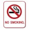 "No Smoking" Sign - Type 1